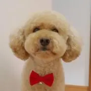 yokoの画像