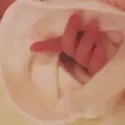 ぽけたろうの画像