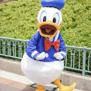 yuu（平日のみの発送となります）の画像