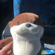 けんけん