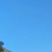 Nの画像