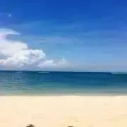 haruの画像