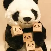 PANDA KENJIの画像