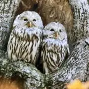 おなおの画像