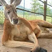ほりっち