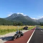 晃樹の画像