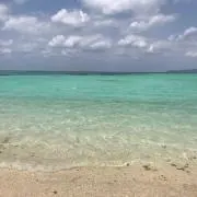 Lamaの画像