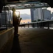 イシゴニスの画像