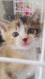アポジー❗プロフ見て❗の画像