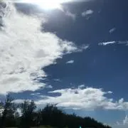 1124の画像