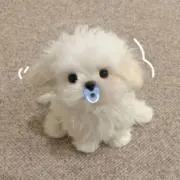 トゥイ