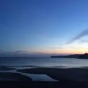 alohaの画像