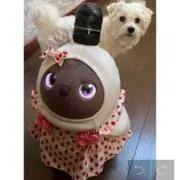 なおなおの画像