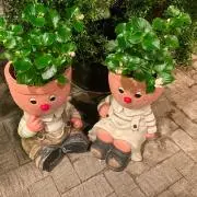 かの画像