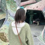 ひなごんの画像