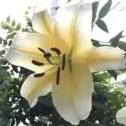 チュン∧( 'Θ' )∧の画像