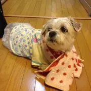 ももしゃん