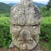 spectatorの画像