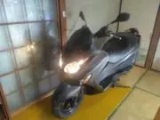 平成パンツの画像