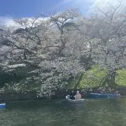 Aotaの画像