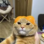 こちの画像