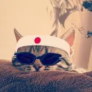 みーたろ