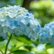 虹の画像