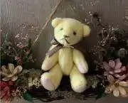 コアラ88の画像