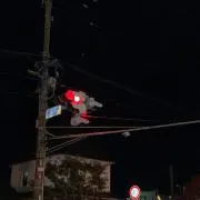 るるの画像