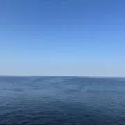amoの画像
