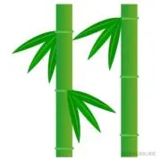 竹