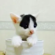 くーちゃん