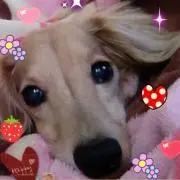 凜