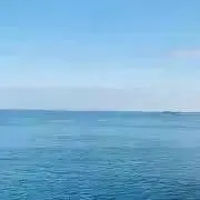 直義の画像