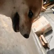 、、