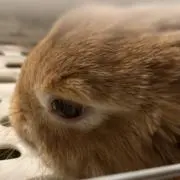 Bee プロフ読んで下さいね(o^^o)