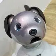 おの画像