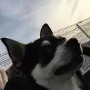 マミーさん