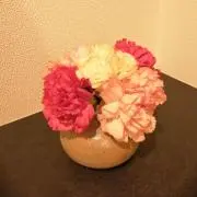 hanahanaの画像