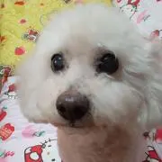 まお
