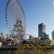 ちっくの画像