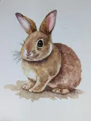 ハナサクももの画像