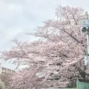 ಠ_ಠやり