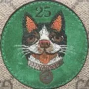 haku ☺︎の画像