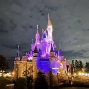 りーちゅプロフ必読♡の画像