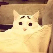 にこ☺︎