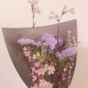 Vicky macaronの画像