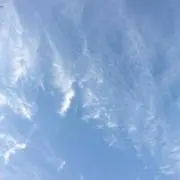 るるの画像