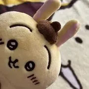 はしもっちゃんの画像