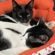 Kuon＆Mikuruママ